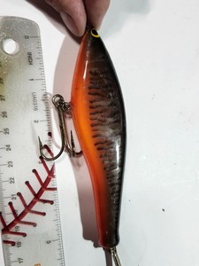 WildRoseReelin7614 | eBay Stores