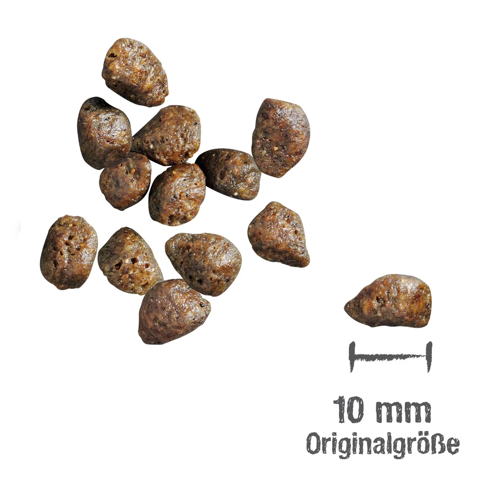 2 x 4 = 8 kg Leonardo fresh Meat Salmon & Poultry Trockenfutter Katze Grainfree - Bild 2 von 2