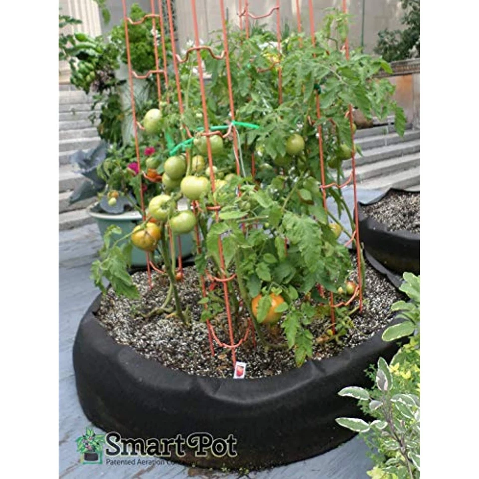 Smart Pots 100511247 Big Bag Cama Elevada de Tela, Original, Negro Foto 3 de 4