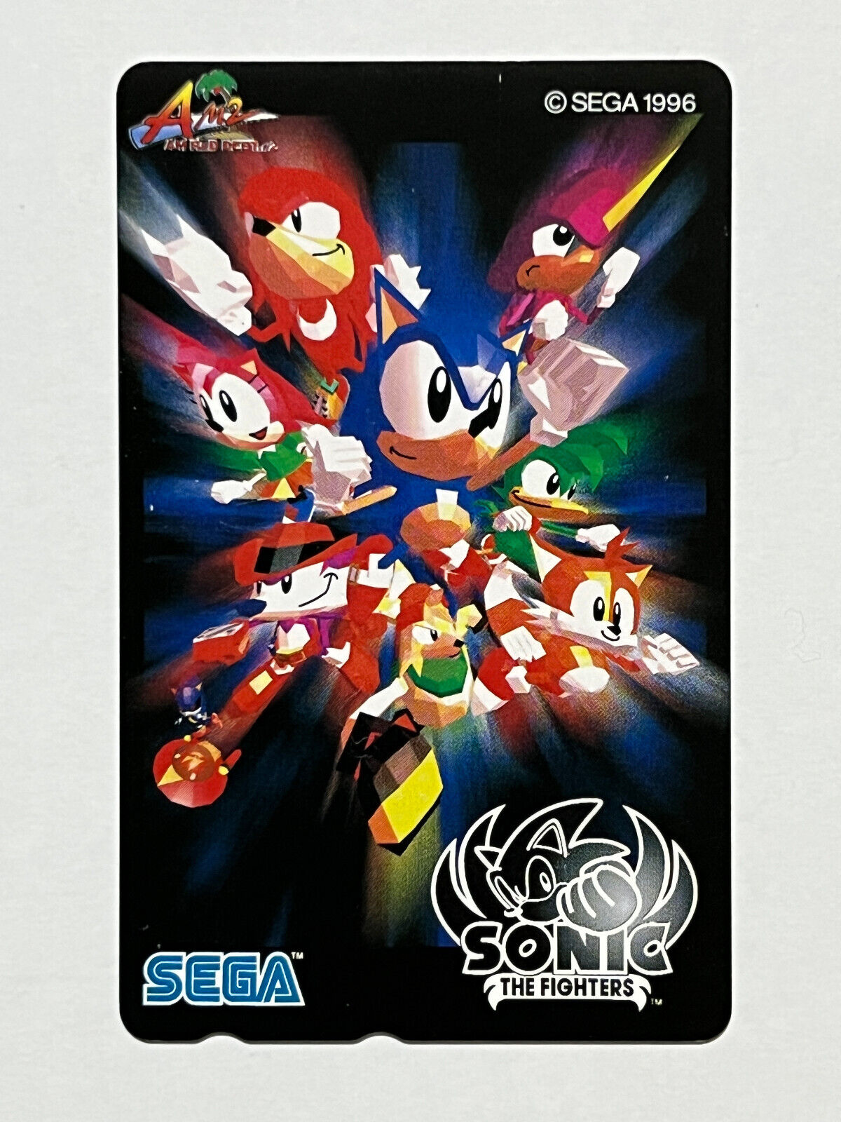 Sonic the Fighters - Game Overview