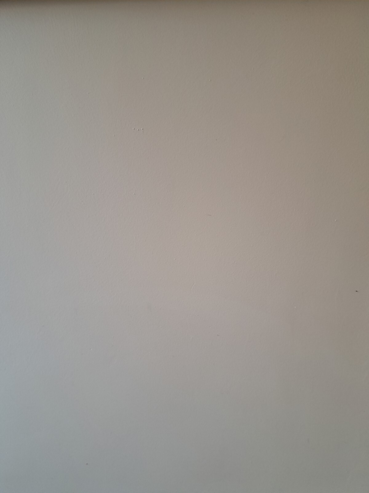 Johnstones Trade Acrylic Durable Matt Colour (Tinted) 5L Creamy Magolia