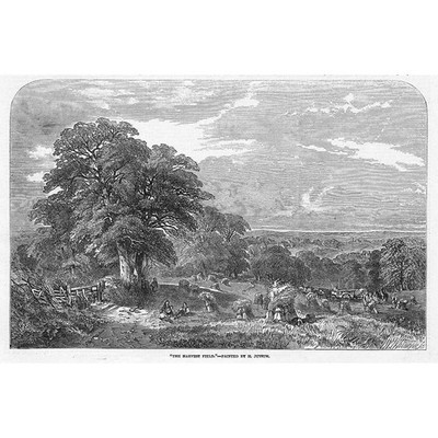 Das Erntefeld von H Jutsum - antiker Druck 1849