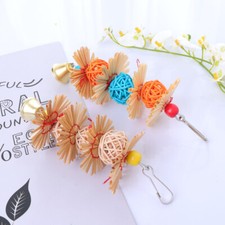 2pcs Parrot Toy Parrot Bite Toy Cockatiel Toys Parrot Cage Accessories