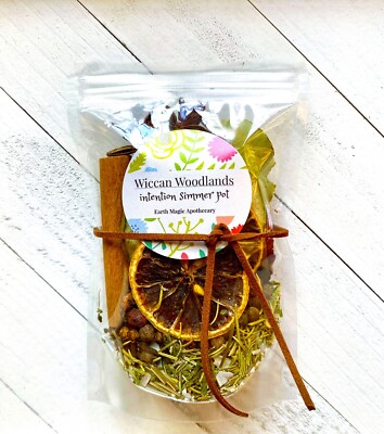 Witchy Intention Simmer Pot Kits Herbal Aromatherapy Simmering Potpourri, MEDIUM