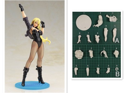 Anime Black Canary 1/7 Figures Unpainted GK Models Unassembled Resin Garage Kits