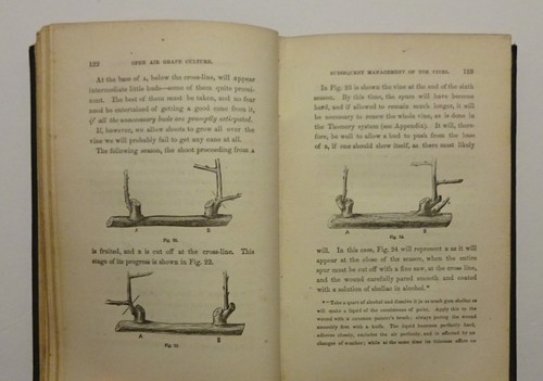 1862 Open Air Grape Culture and Wine Making by John Phin, 1st Edition, Illust VG - Picture 9 of 16