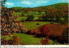 Autumn Along the Blue Ridge Parkway Postcard -6x4 Continental