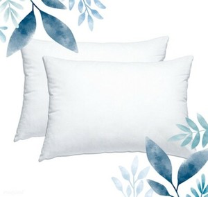 queen feather pillows