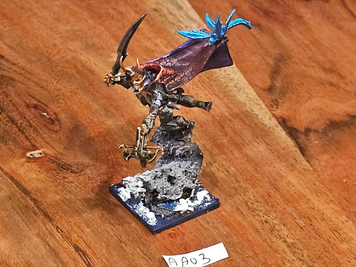 Warhammer AOS Dark Elves Cities of Sigmar Hero Lord Assassin 