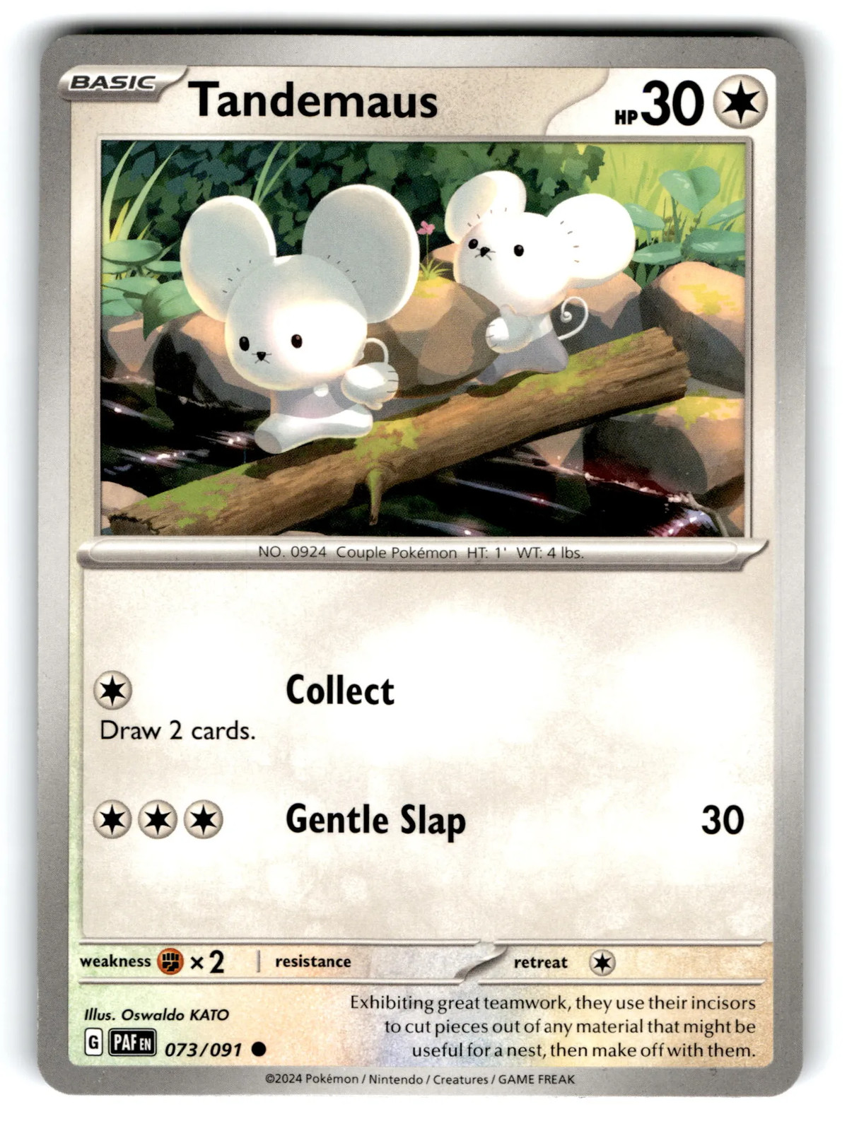 2024 Pokemon Tandemaus #73/91