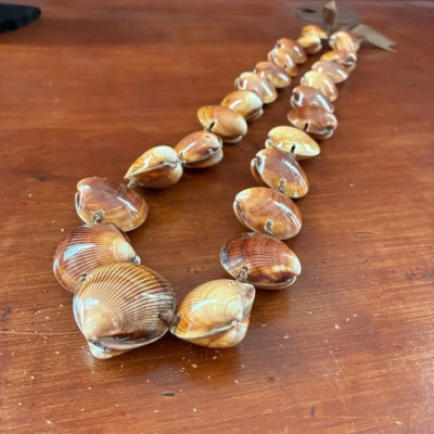 Beachy Brown Clam Shell Long statement piece Chunky Necklace