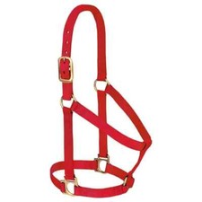 WEAVER Leather Red 1 inch Large Horse Basic Non Adjustable Halter 1100-1600lbs