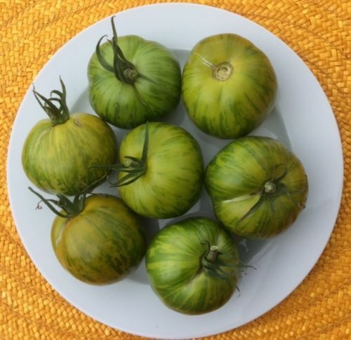 TOMATE VERDE CEBRA / VERDE CEBRA, 50 SEMILLAS + REGALO + ENVÍO GRATUITO