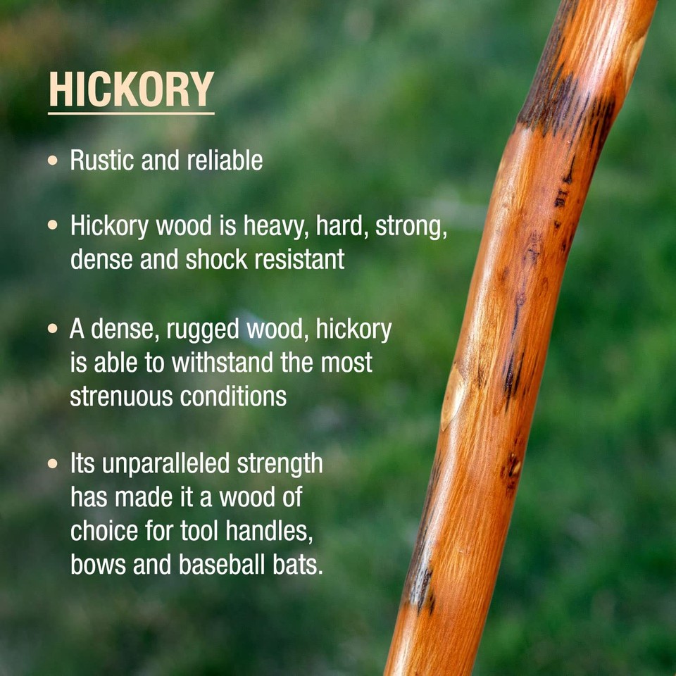 Free form Hickory Walking Stick48 eBay