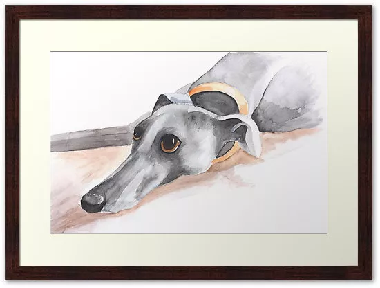 Whippet gifts cheap