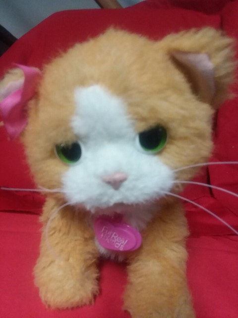 furreal friends cat daisy