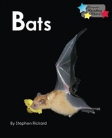 Rickard Stephen | Bats | Taschenbuch | Englisch (2019) | Kartoniert / Broschiert