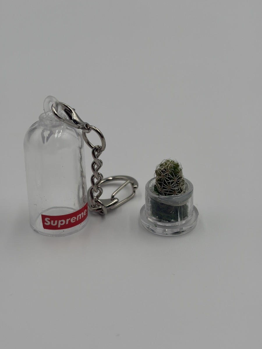 Supreme Cactus Keychain Box Logo SS18 | eBay