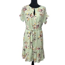 Lauren Ralph Lauren Dress Womens 4 Mint Floral Chiffon Long Sleeve Ruffle Hem