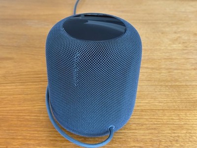 Apple HomePod 1st Generation Gray Smart Speaker for parts | eBay