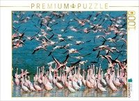 Calvendo Puzzle Flamingos In Kimberley, South Africa | 1000 Pieces, Finished Siz
