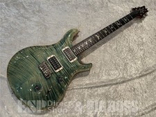 Paul Reed Smith PRS Custom 24 10 Top Pattern Regular Neck / Aquabluex Used
