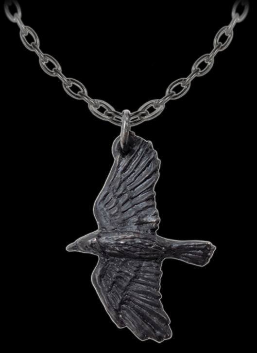 Alchemy Necklace with Raven - Black Raven - Gothic Neck Jewelry Crow Pendant