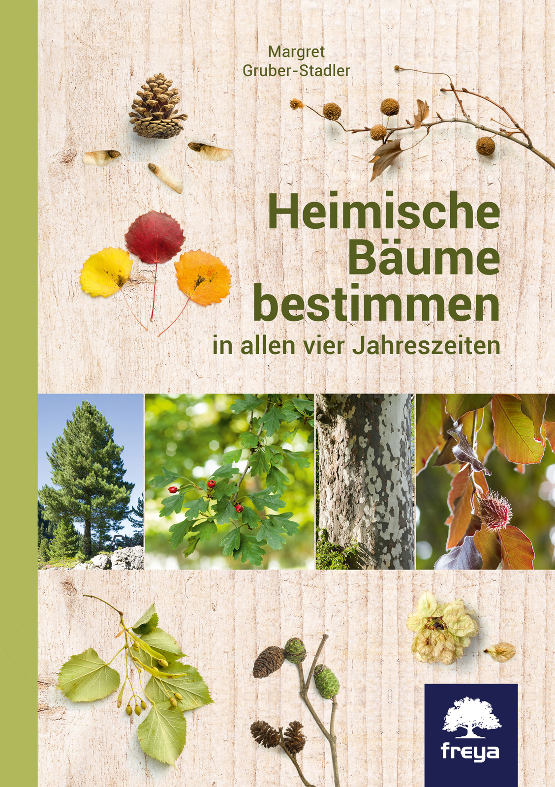 Thumbnail - Margret Gruber-stadler / Heimische Bäume Bestimmen