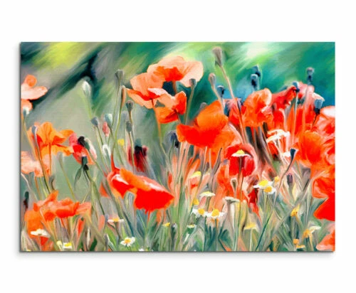 Moderne Deko-Bilder & -Drucke von Mohnblume wandbilder