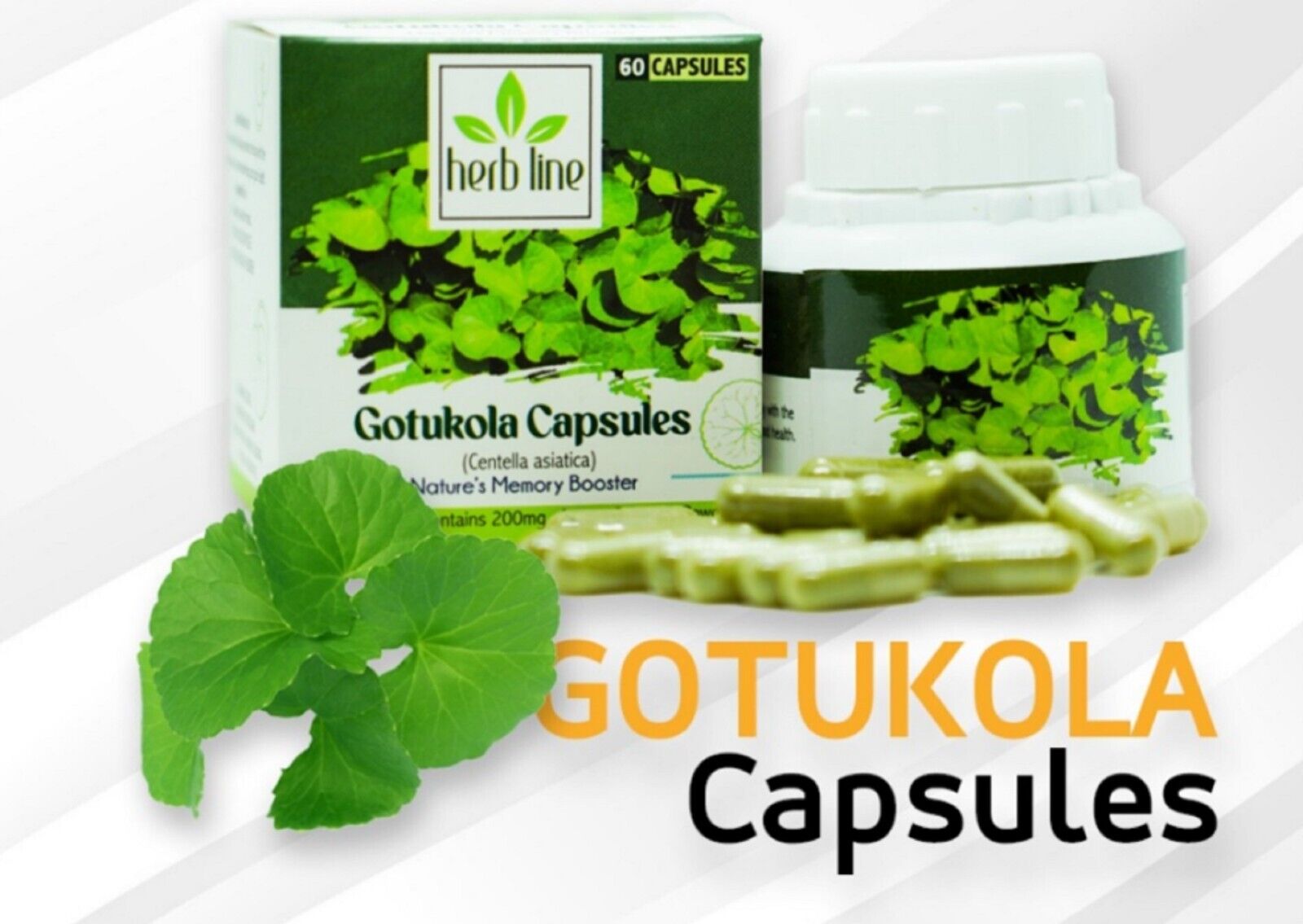 Gotukola (Centella Asiatica) Cápsulas Potenciador de la Memoria Hierba Ayurvédica 100% Pura