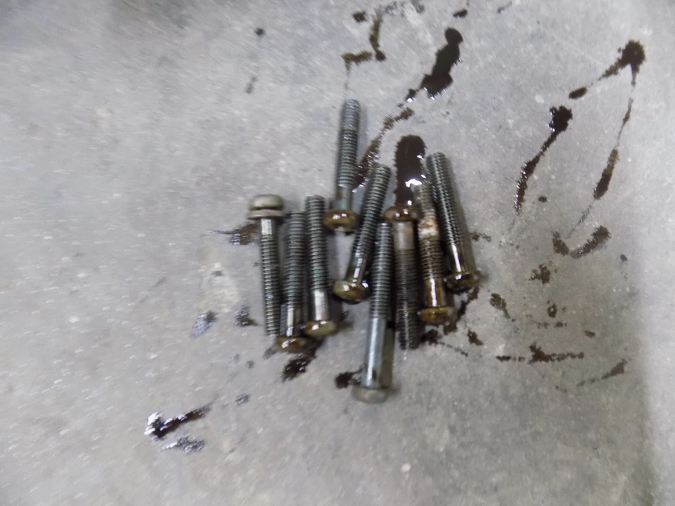 Yamaha Grizzly 80 2007 cubierta de embrague Badger Raptor 06 07 08 Foto 2 de 4