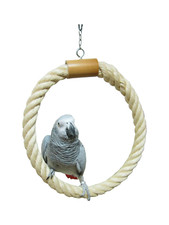 SEnjoyyBird Papageien-Spielzeug Aus Holz – Schaukel & Beißspielzeug, Bunt, 16,5 X 3 X 32 Cm