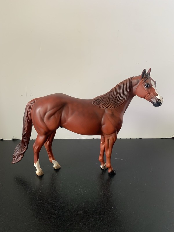 Peter Stone Ideal Stock Horse GORGEOUS Reverse Dapple Chestnut ISH