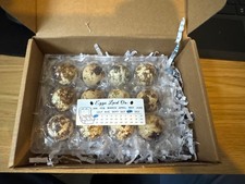 12 X COTURNIX QUAIL EGGS