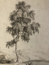 Large Drawing Xixth 1850 Pencil Landscape Shaft Antique to Identify Sheet Study
