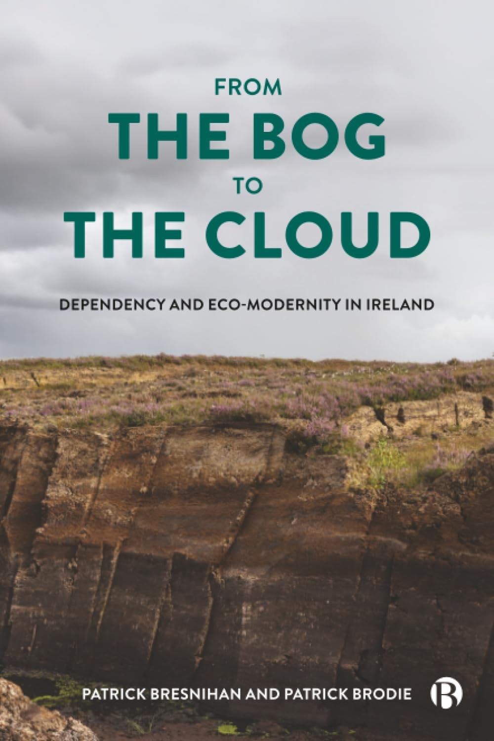 From the Bog to the Cloud - Patrick Bresnihan - Paperback - Very Good