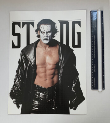 WWF WWE Poster Print Sting WCW NWA TNA Champion Wrestler Pro