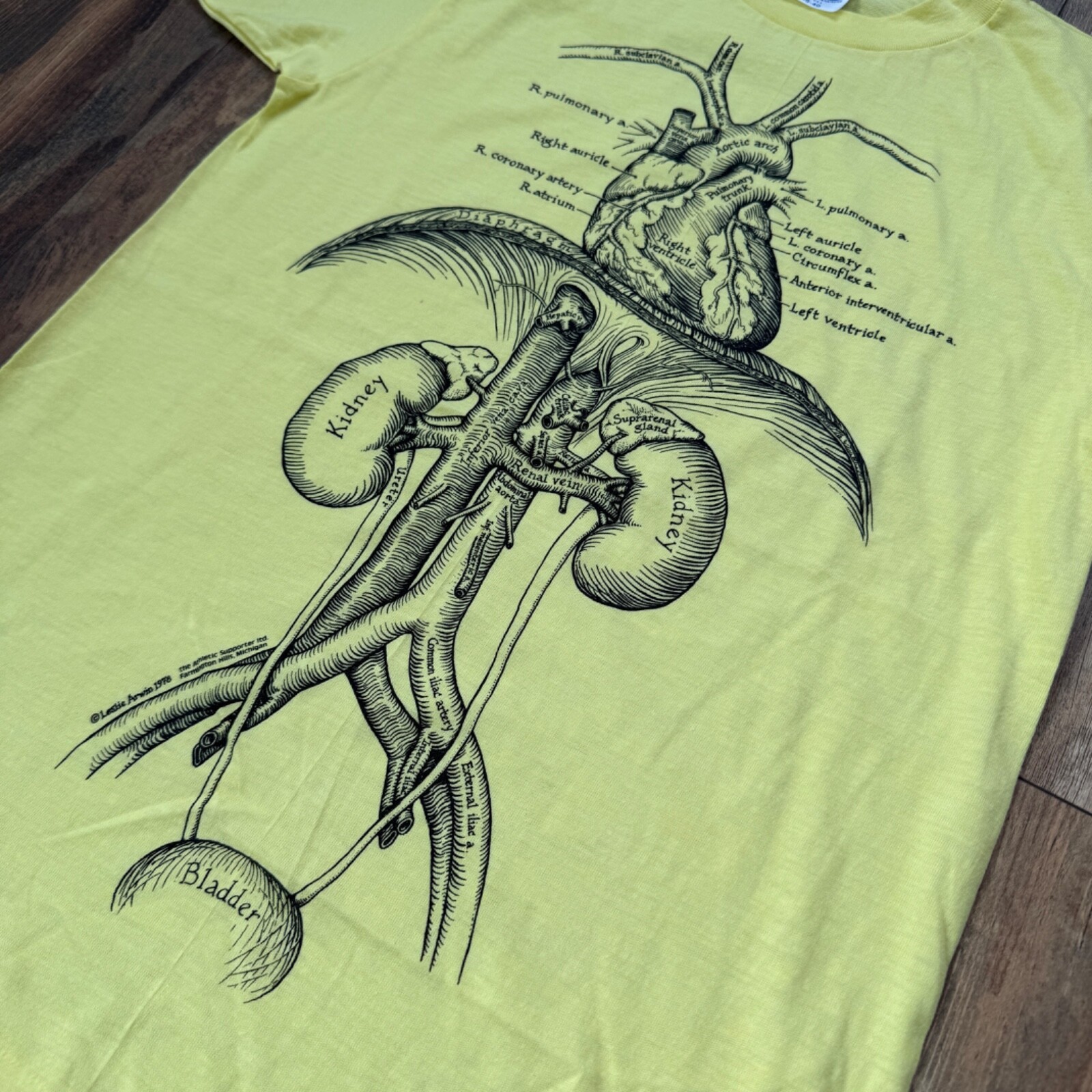 Vintage 1980s Leslie Arwin Anatomy Organ Art T Sh… - image 2