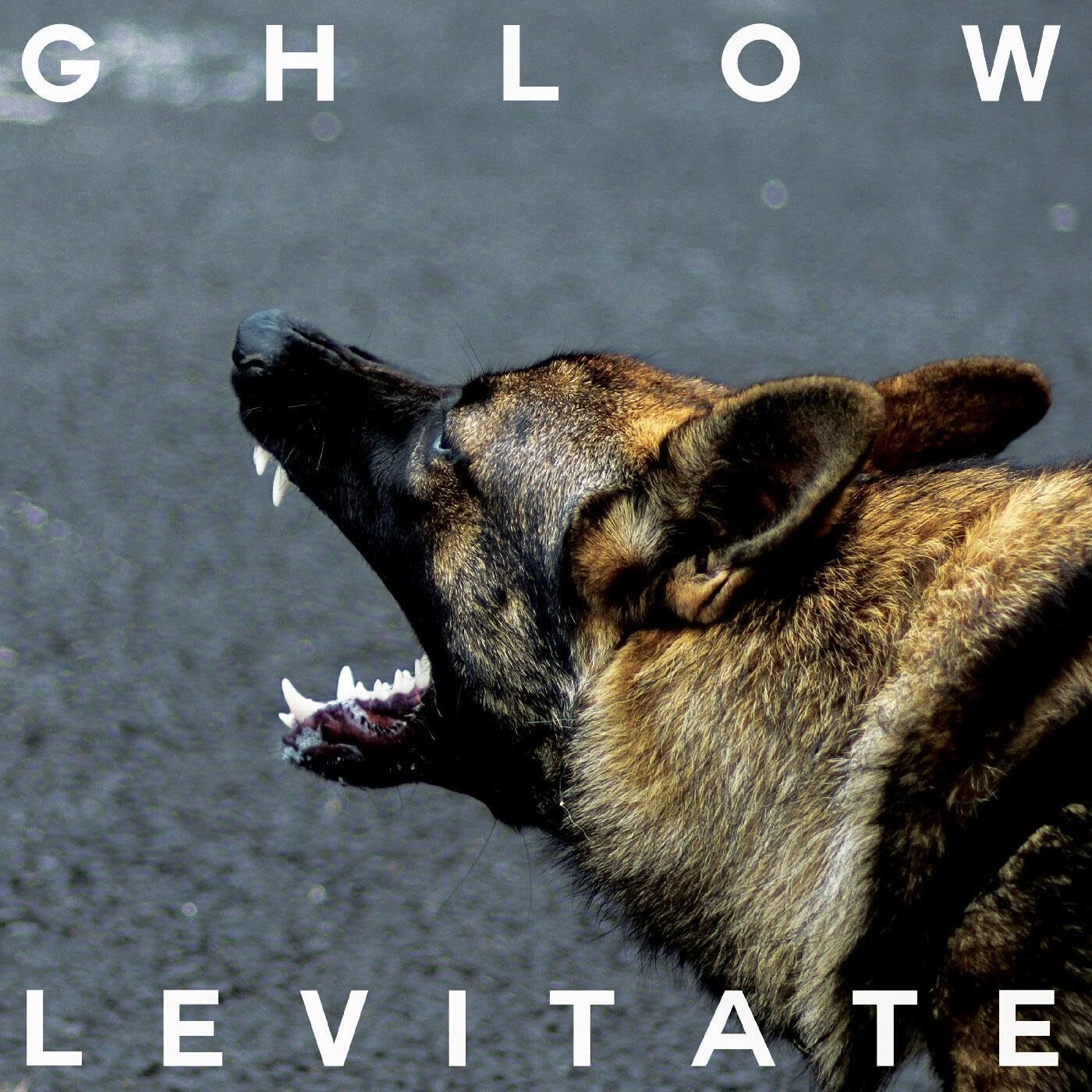 Ghlow Levitate (Vinyl LP) 12" Album