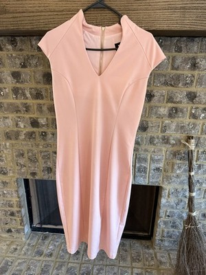 Alexia Admor Pink Fit & Flare L Gold Zip Bessette Style Cocktail