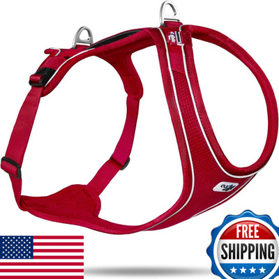 Curli Belka Comfort Harness Red S