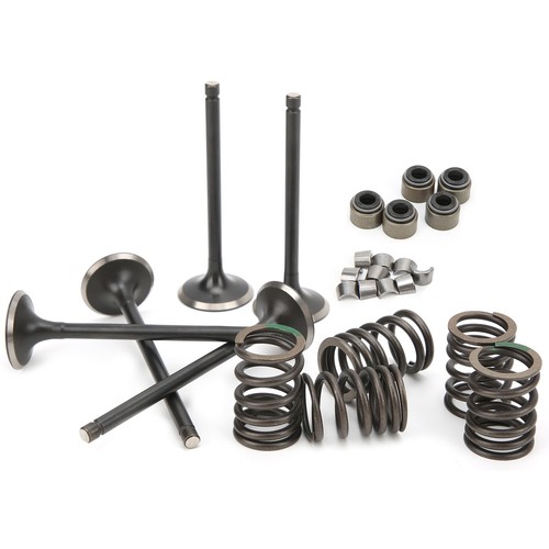 Cylinder Head Intake Exhaust Valve Kit Fit For GRIZZLY 660 YFM660F 4WD 2002‑2008 - Picture 16 of 22
