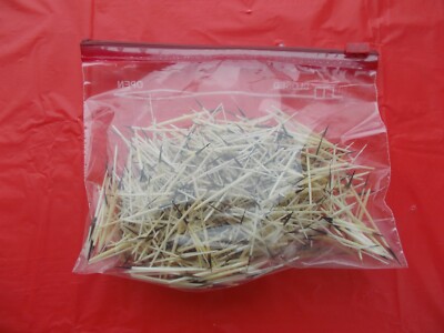 1/4 oz of Porcupine Wrapping  Quills From Montana measure around 1 1/2''  to 2''