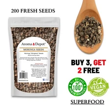 Moringa Seeds 2 oz. Wingless Semillas de Moringa Pepa oleifera Approx. 200 Seeds