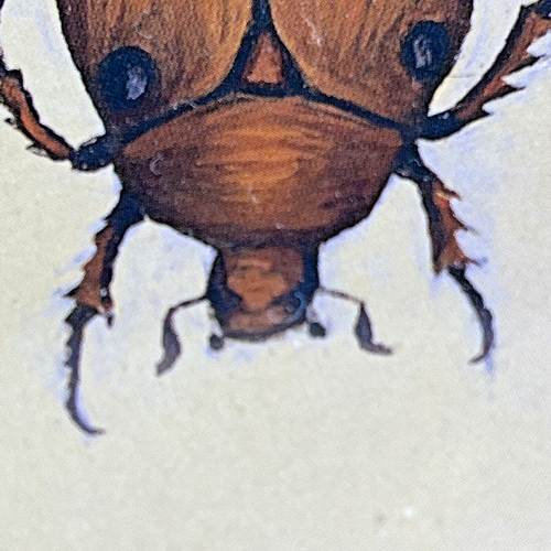 "Lady Beetle" Framed S&N Print 2000 Lyndi Lende Diagonal Mount 36/1095 - Picture 7 of 11
