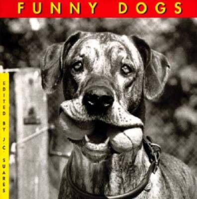 Funny Dogs - Hardcover By Martin, Jane - VERY GOOD