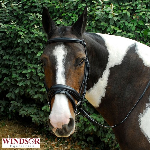 Leather Comfort Bridle Crank Style Flash Noseband by Windsor No Pressure Design - Picture 2 of 8