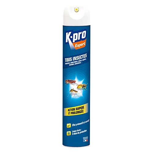 Tous Insectes multi-usages pulvérisateur à action choc et durable 500ml