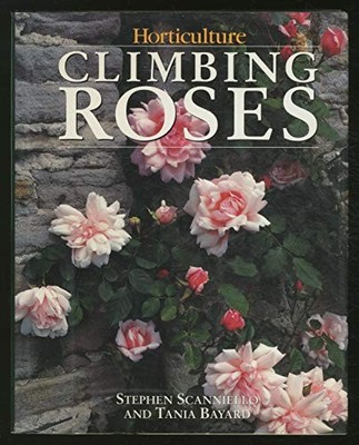 Climbing Roses - VERY GOOD