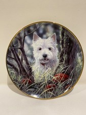 Danbury Mint Westies “Hide and Seek “ plate